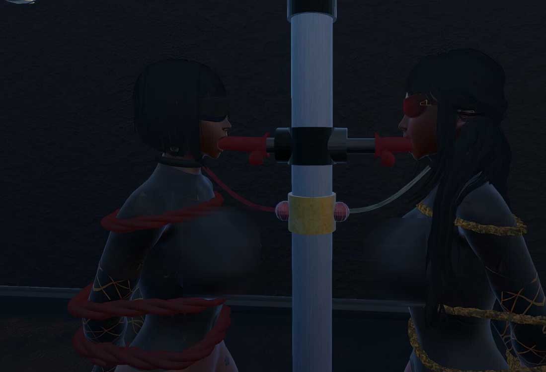 [精品FPS ACT动作] 束缚竞技场Bondage Arena 18.0官中高级版[31G]