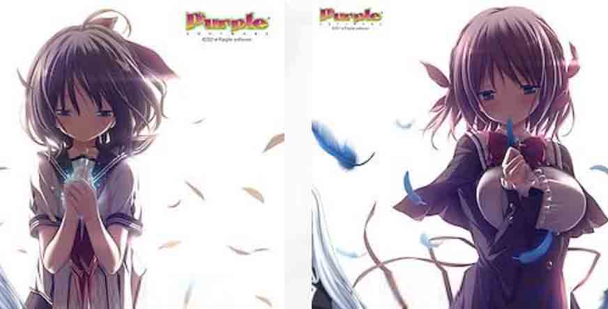 母社及子社[Purple software]衍生社[ボンボンカンパニー/Felicia]58部[220G]