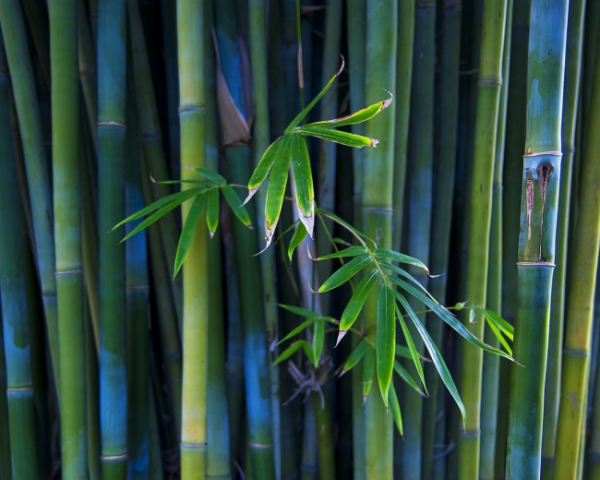 JS之Array.slice()方法