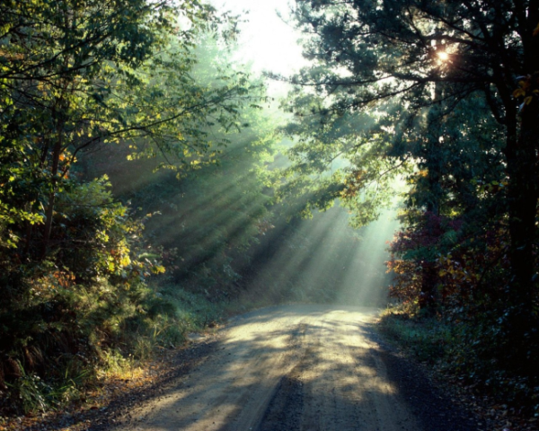 脾胃寒郁吃什么中药方