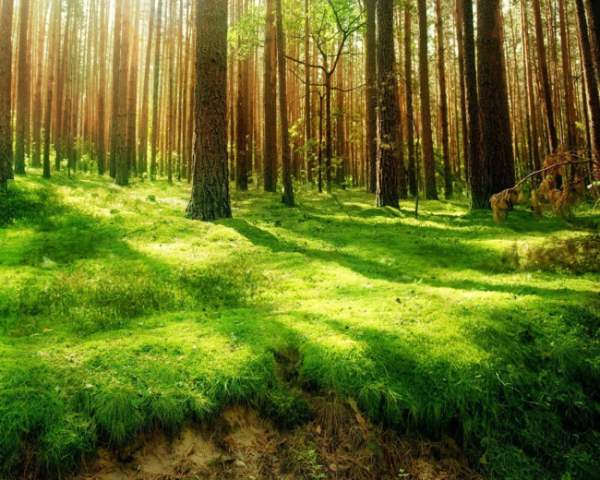 instanceof和isInstance的区别 知乎
