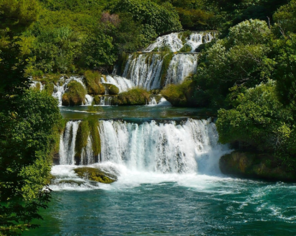 杜仲治风寒感冒中药方