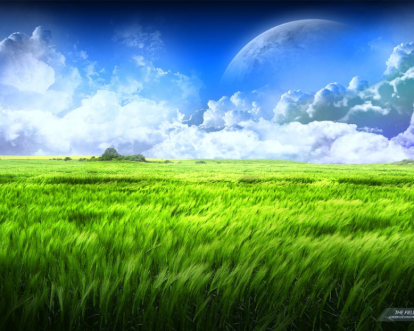 小朋友舌苔白厚还有鼻涕怎么办