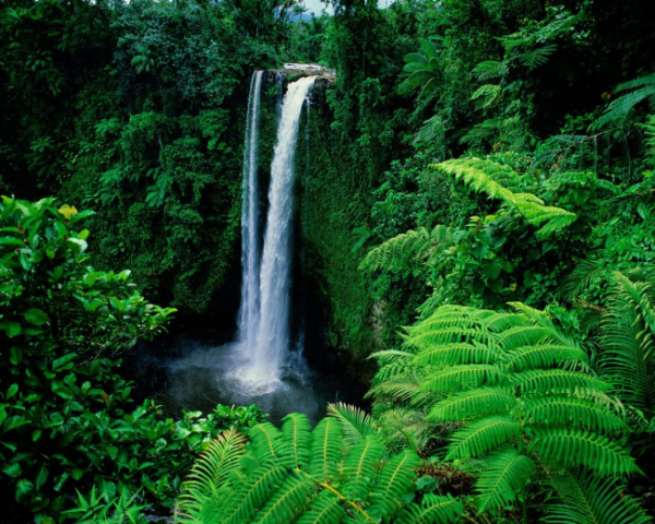 《数据结构-C语言版》(严蔚敏,吴伟民版)课本源码+习题集解...