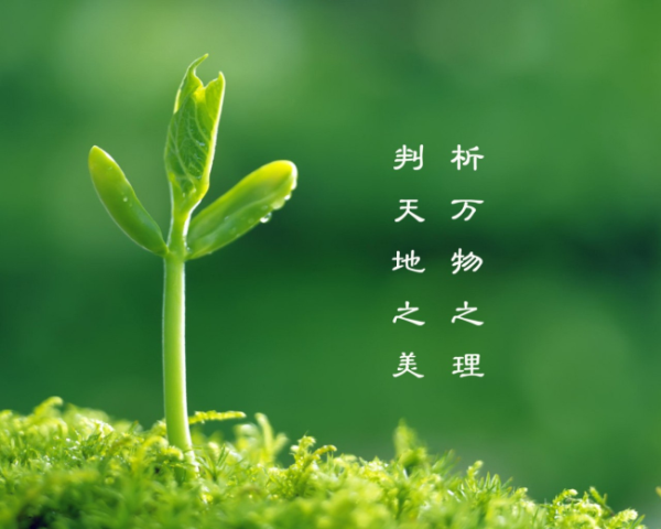 如何计算FOB价格