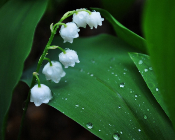 如何写媒体发布稿件文案
