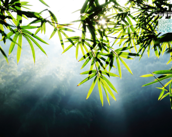 Mac中MacPorts安装和使用，MacPorts简介