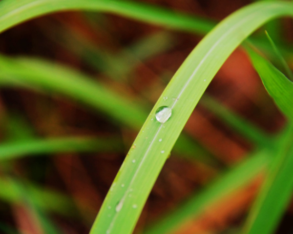 解决Mac OS X Lion狮子系统及win7多分区教程
