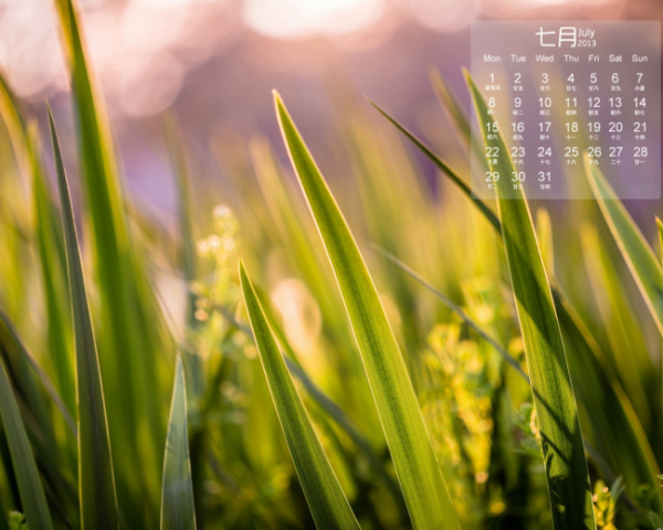 酸的水果帮助消化嘛，脾胃气虚的中药方子