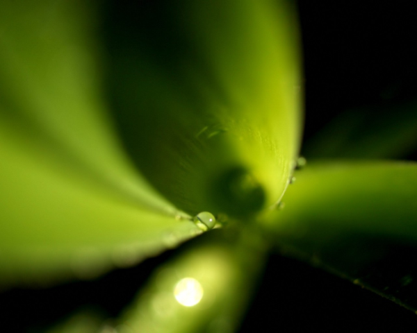 oracle中的insert语句