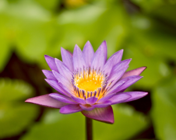 equalsIgnoreCase爆红
