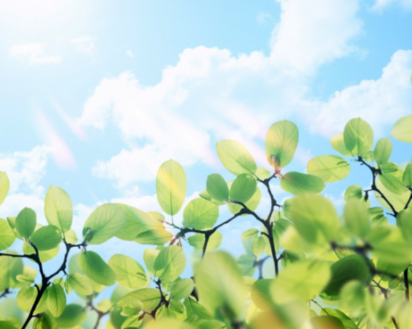 排淤堵脾胃寒湿的中药方子,脾虚面部肤色暗黄怎么办 排淤堵脾胃寒湿的中药方子,脾虚面部肤色暗黄怎么办