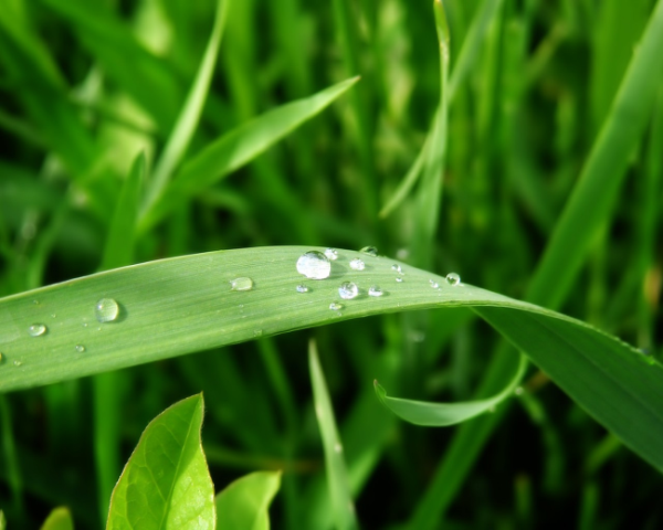 C语言中的fprintf函数详解
