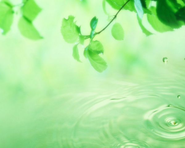 高血压高血糖治疗中药方