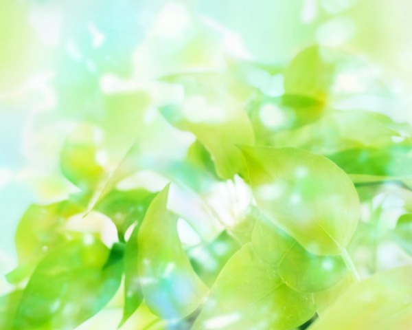 脾虚非常疲倦怎么办呢