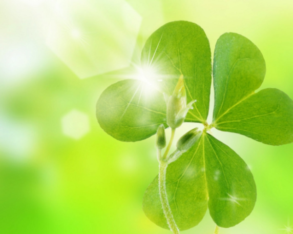 Xamarin，For，Visual，Studio，3.7.165，完整离线破解版