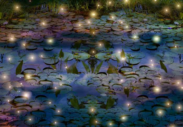 Ubuntu中文输入法