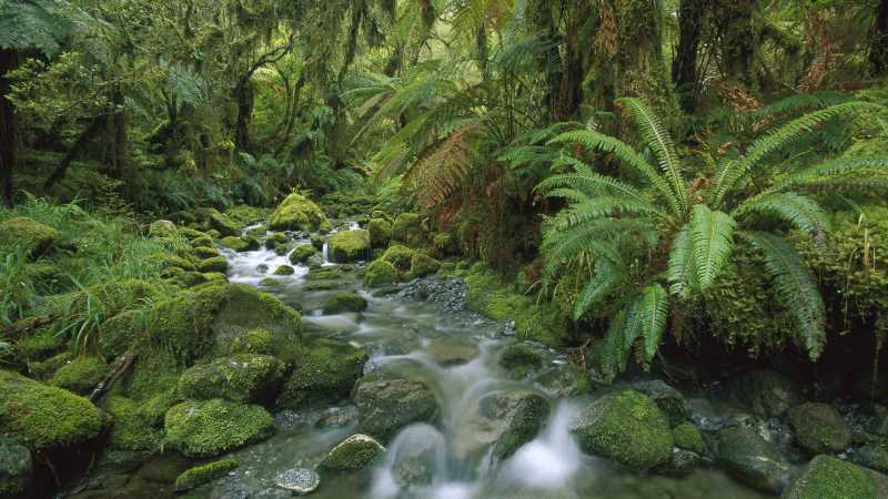 男性高血压的中药方