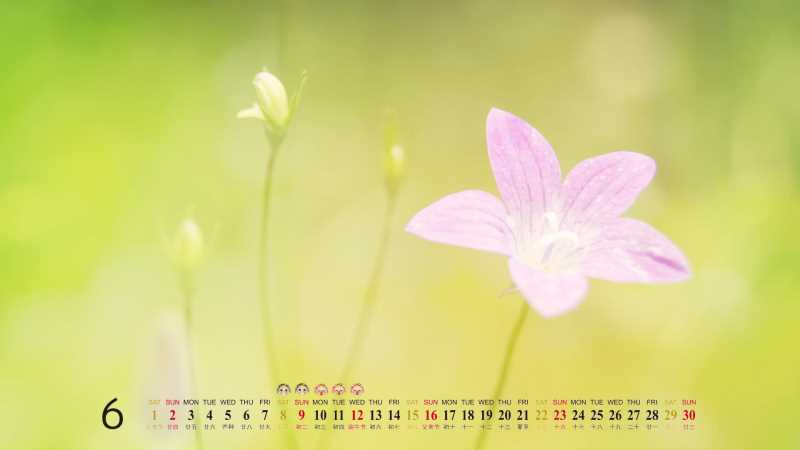 补肾虚的中药方子