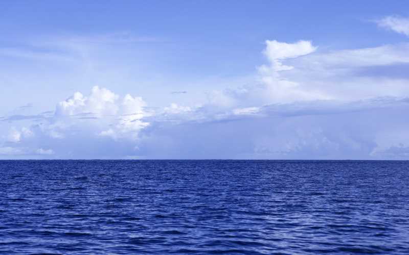 Graph Search图谱搜索
