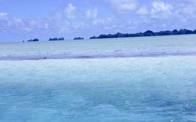 国外什么水果降血压，水果茶煮了还有维生素c吗