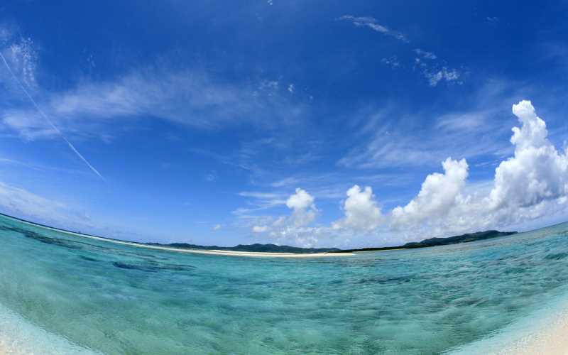 介绍C 连接OleDBConnection数据库的操作
