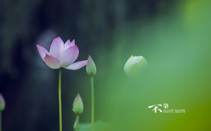 维生素c含量高的水果橘子