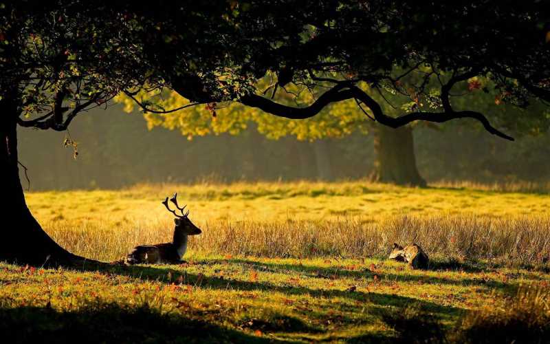 MathType 6.9d中文版
