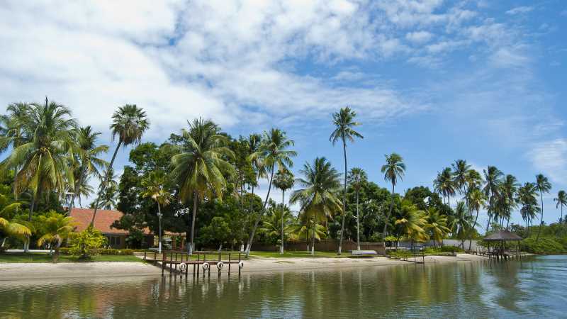 html em标签属性
html标签属性怎么标红