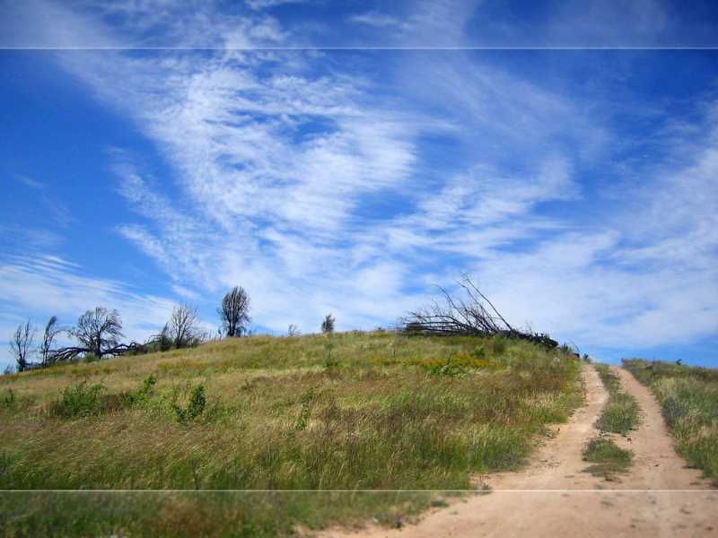 Ubuntu中文输入法
