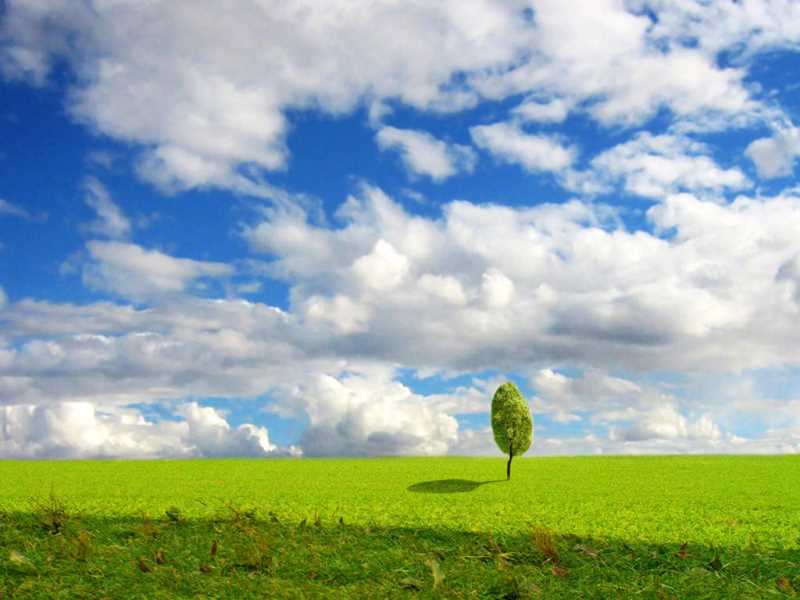 css3 animation 动画属性简介
