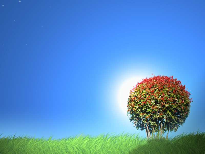 HttpWatch工具简介及使用技巧介绍
