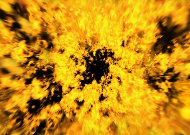 哪种水果的营养成分高