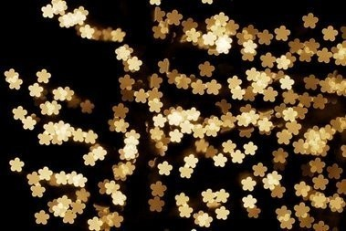 分解维生素c酶的水果有哪些