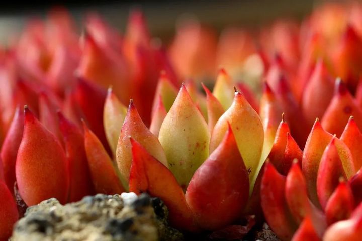 怀念高考的经典句子（一共150句）