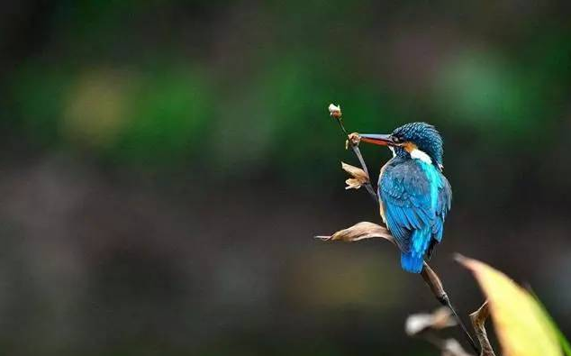 60岁人健康饮食食谱，信隆健康饮食晚餐食谱表