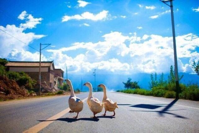 康熙最经典的句子视频（推荐30句）