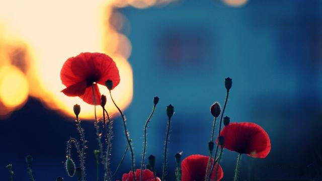 时间很快经典句子（精选110句）