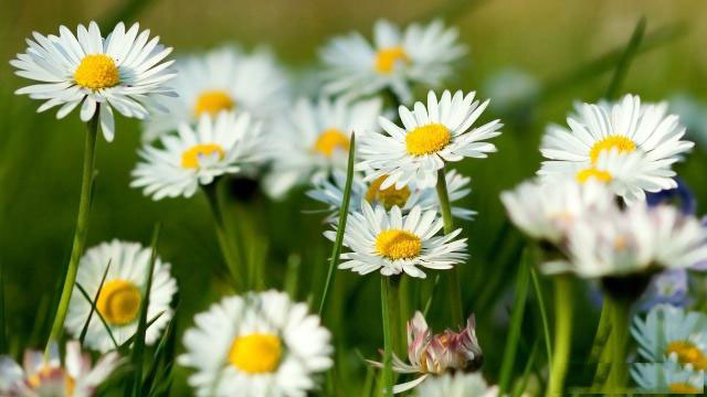 感受人生经典句子（汇总90句）