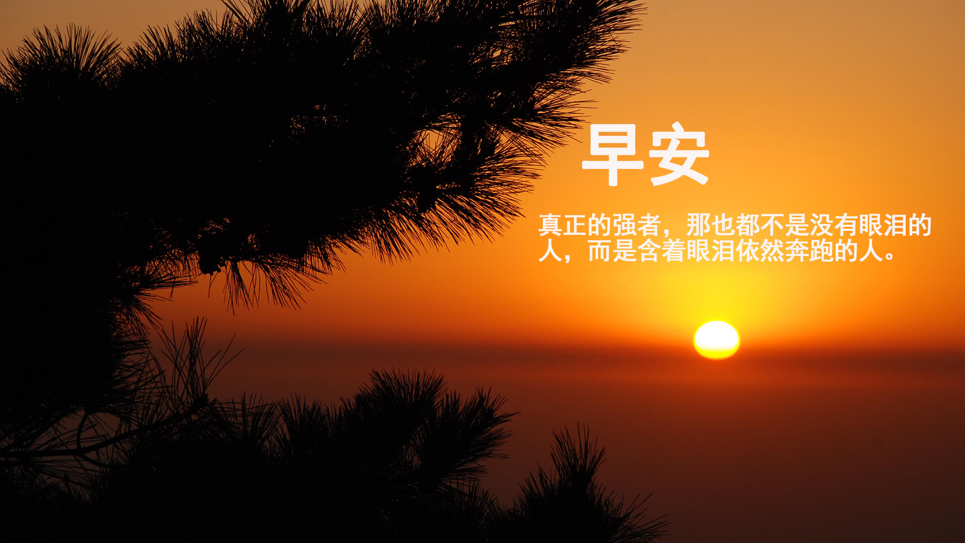 负债焦虑的经典句子（一共20句）