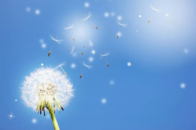 养生冷门小知识祛斑，血糖低的健康饮食食谱