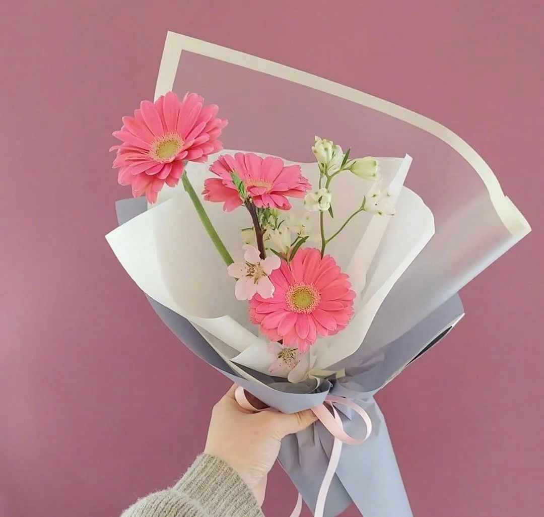 冰河世纪经典句子摘抄