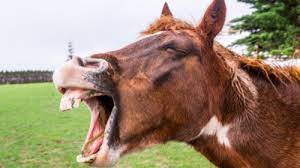 上学爆笑笑话故事