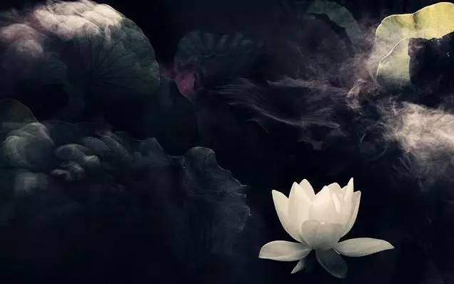 牛今天生肖运势（2024-02/18日）